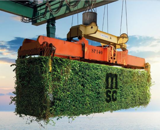 Carbon Neutral Programme