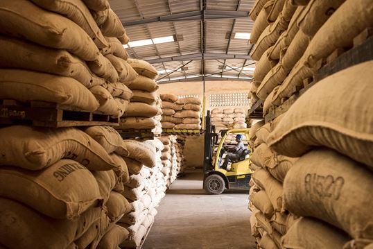 Fostering inclusive trade