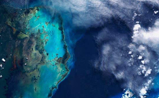 MSC Sustainability our purpose